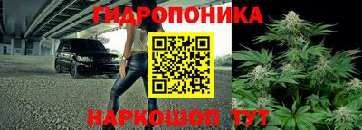 крисы Гусиноозёрск